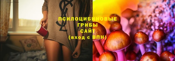 эйфоретик Мегион